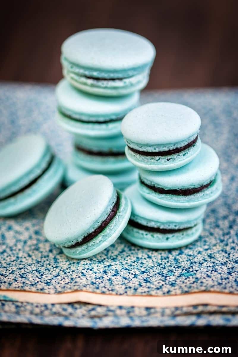 stack of vegan macarons filled with ganache