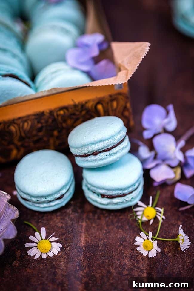 Vegan aquafaba macarons with avocado chocolate filling