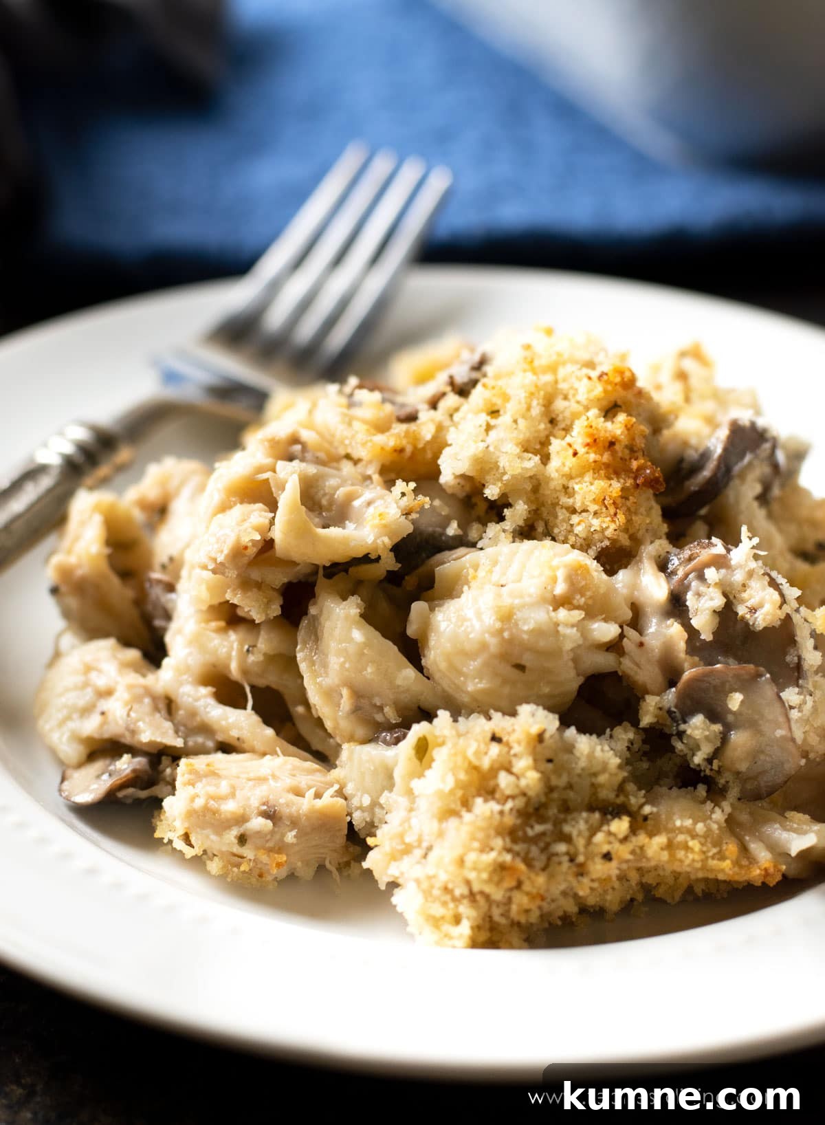 A plate of gluten free tuna casserole.