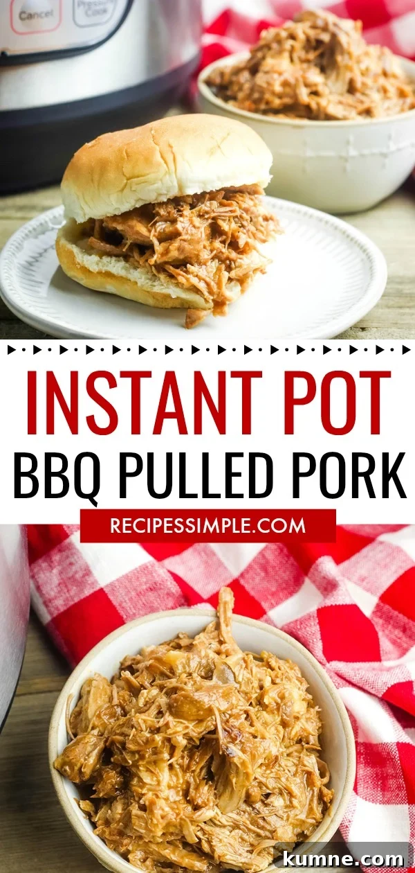 BBQ Pulled Pork Recipe