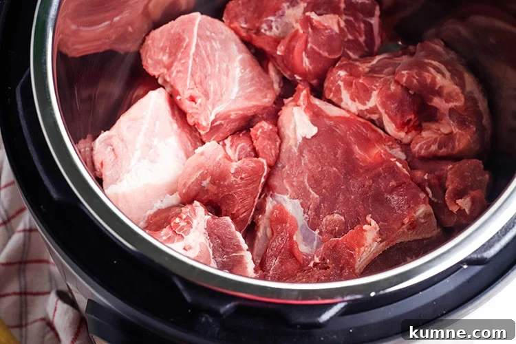 Pork In Instant Pot