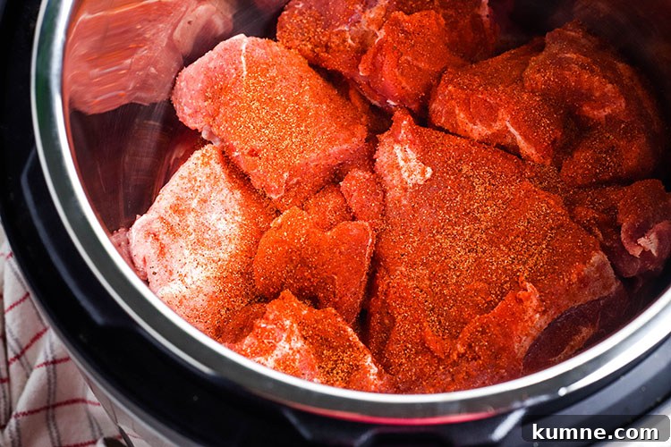Seasoned Pork In Instant Pot