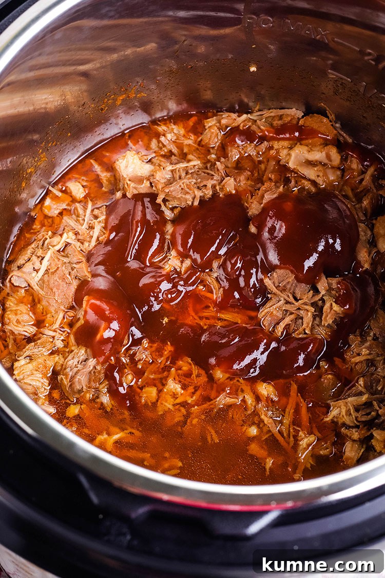 Shredded Pork With BBQ Sauce