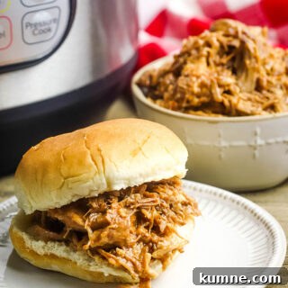 Instant Pot BBQ Pork On Plate