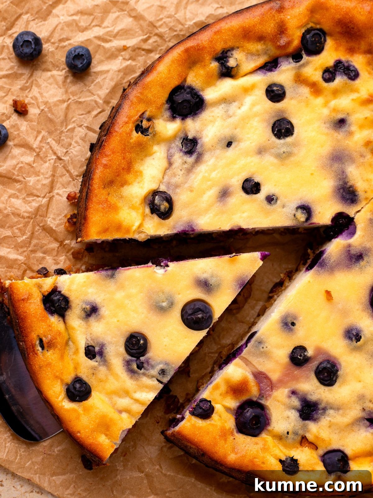 Blueberry Cottage Cheese Cake with Oatmeal
