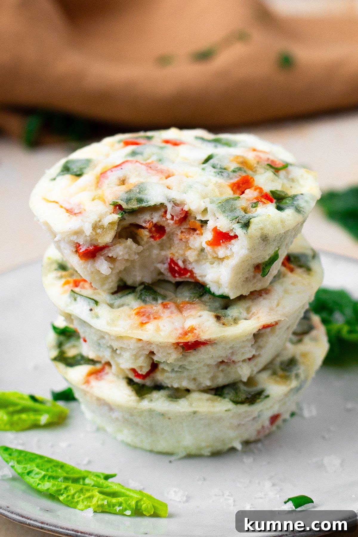 Protein Egg White Bites
