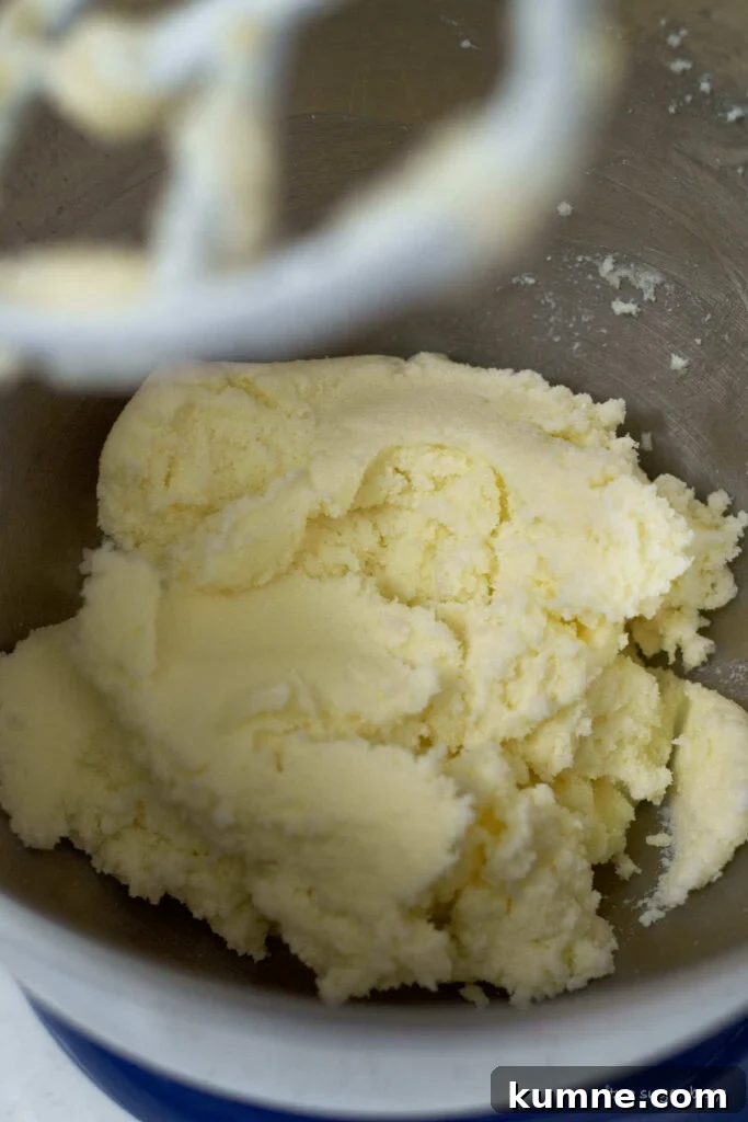 butter and sugar after 10 minutes of creaming