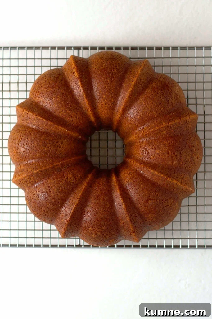 cake on a cooling rack