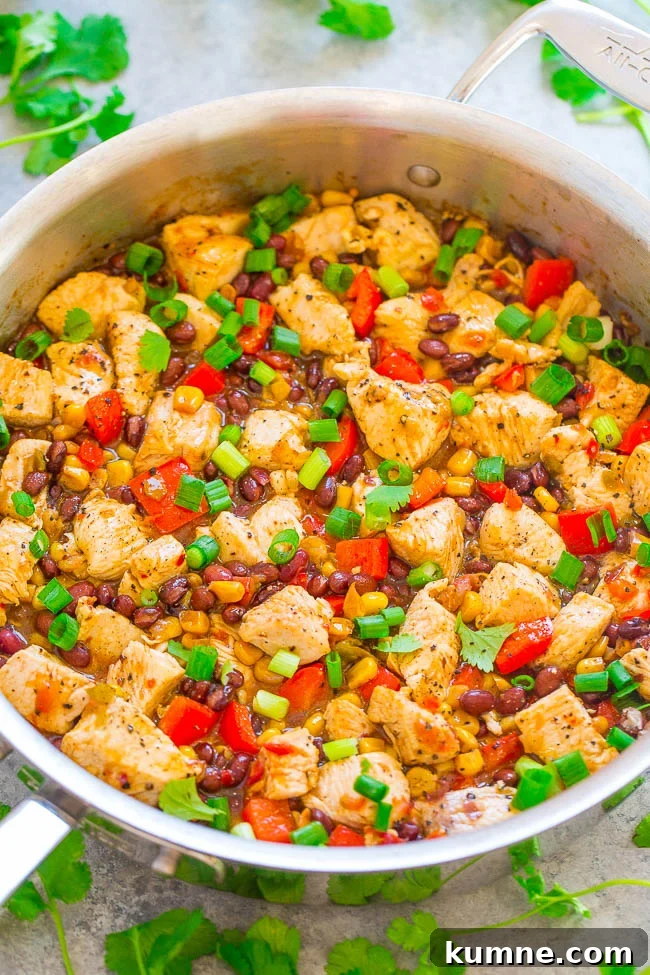 15-Minute Salsa and Black Bean Chicken Skillet. 