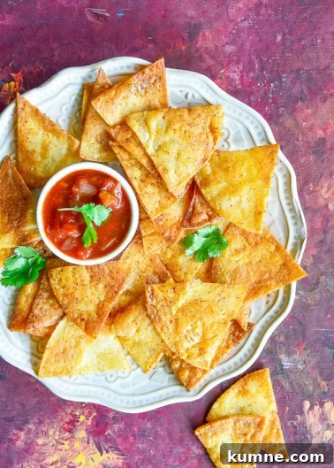 Baked Tortilla Chips