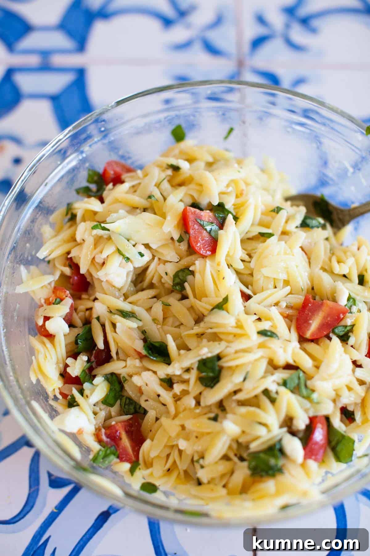 Basil, feta, and tomatoes mixed with orzo.