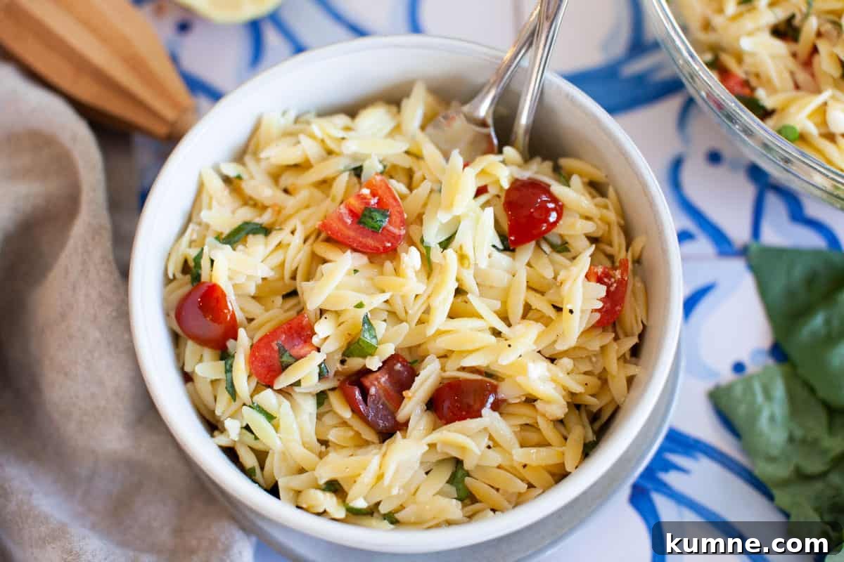 Close up photo of lemon orzo pasta in a bowl.