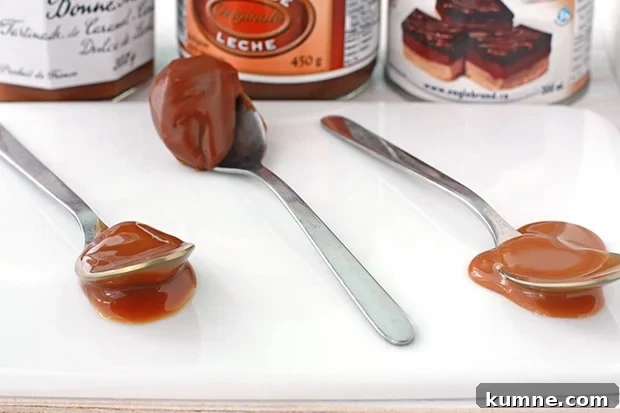 Three spoons of three different store-bought dulce de leches to compare thickness, texture and colour.