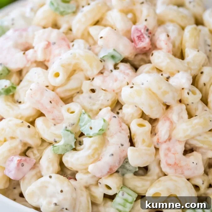 Closeup of shrimp pasta salad