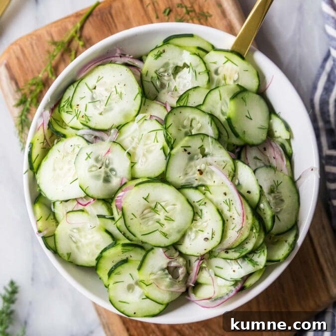 Overhead view of a serving bowl of cucumber salad made with dill and red onion.