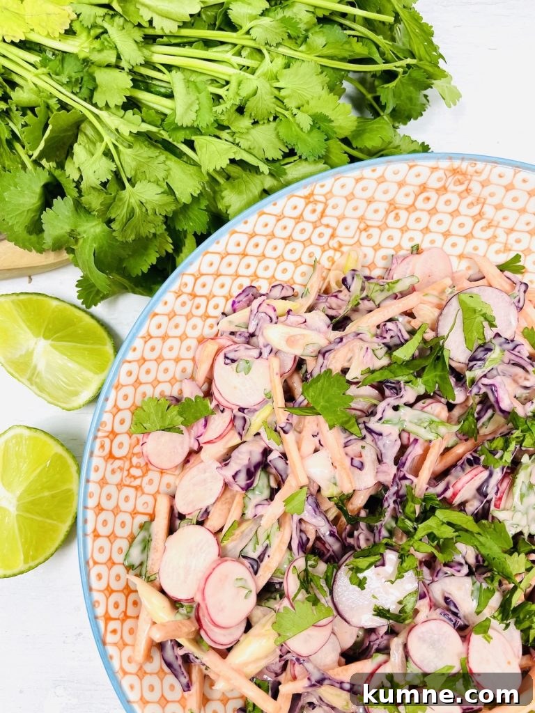 Chicken Fried Rice Recipe: Quick Homemade Takeout-Style Meal 9 Red cabbage slaw in a bowl