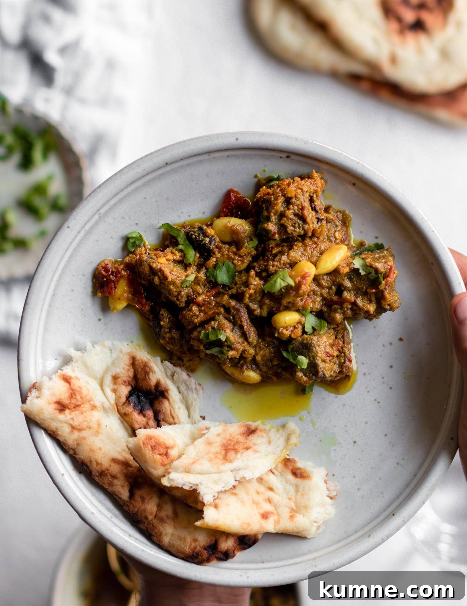 Holding a plate of Beef Stew with naan on the side