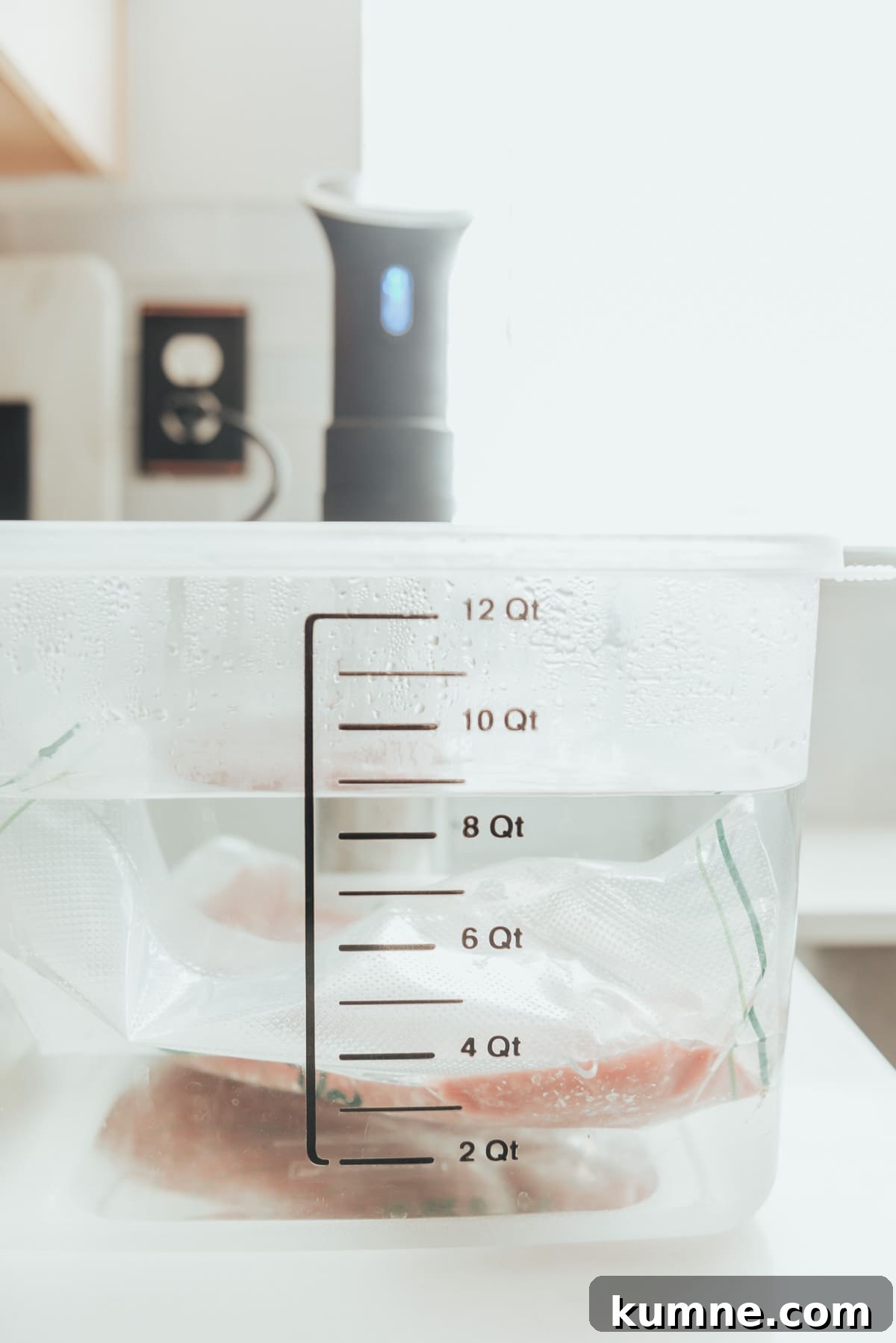 A sous vide water bath and precision cooker.