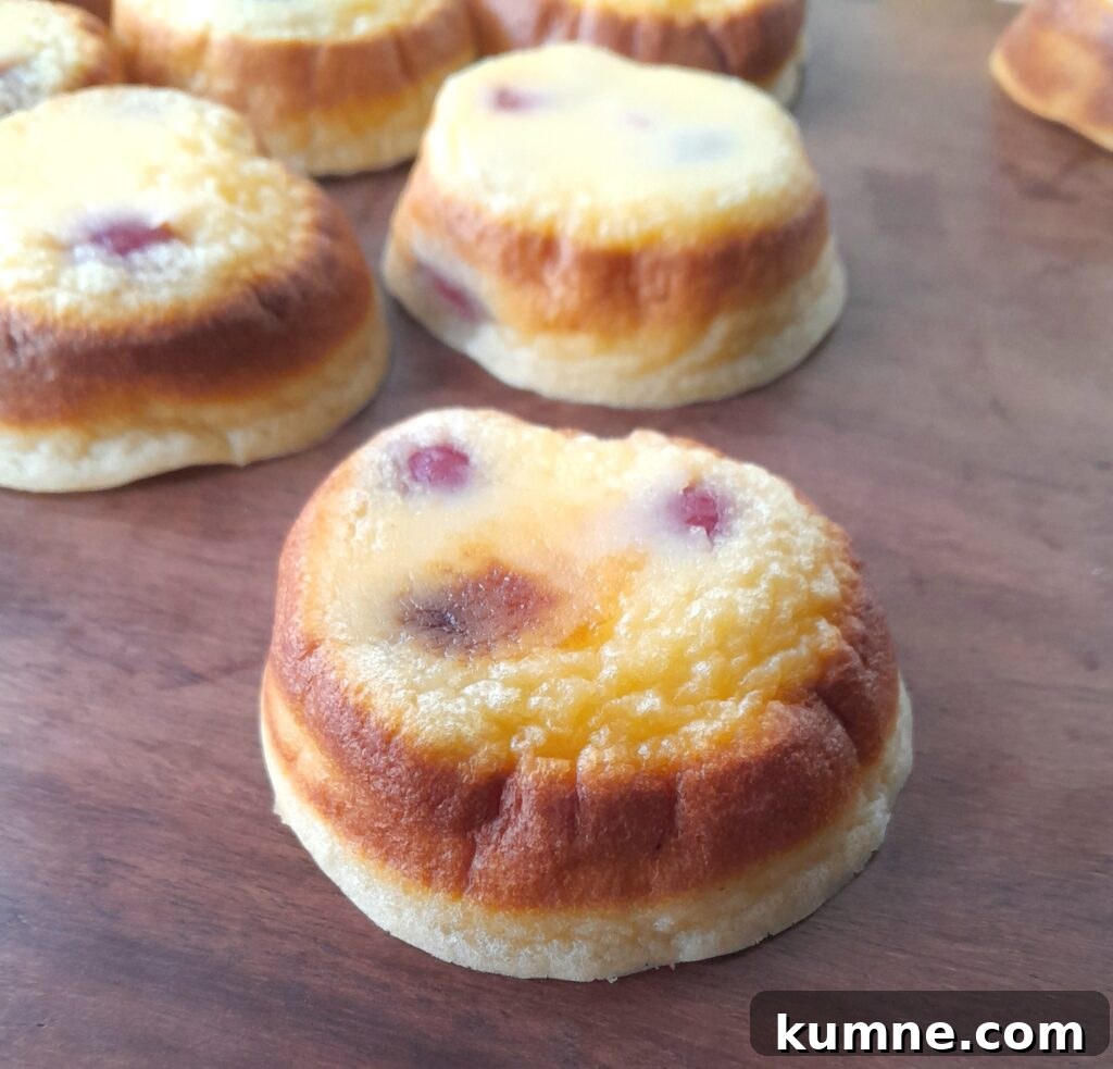 Mini Cherry Clafoutis Recipe — Individual Baked Cherry Desserts 2 mini cherry clafoutis