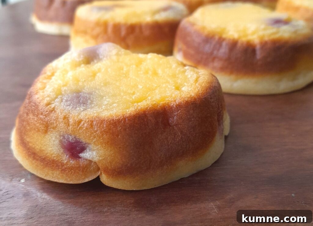 Mini Cherry Clafoutis Recipe — Individual Baked Cherry Desserts 5 mini cherry clafoutis