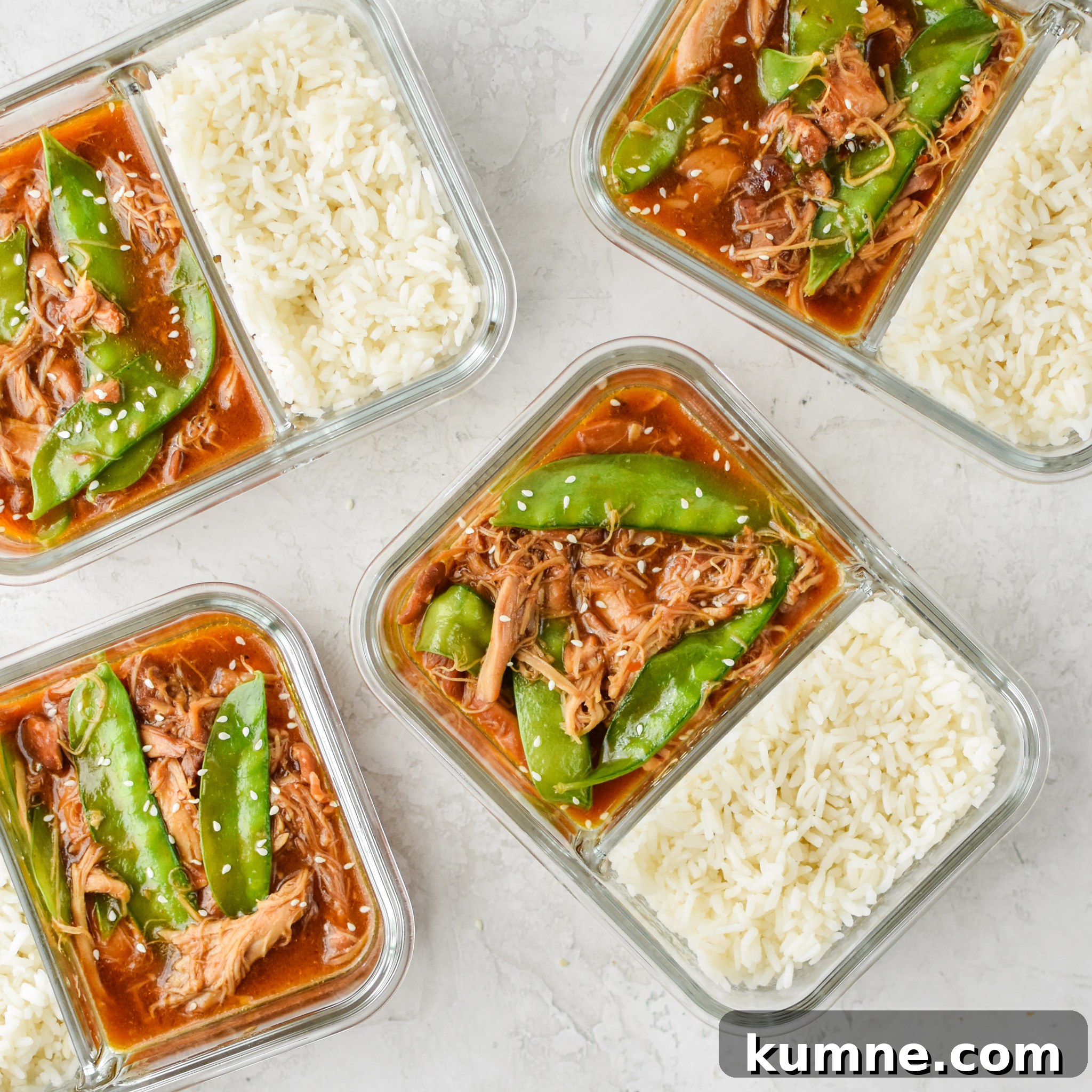 25 Favorite Instant Pot Recipes I Cooked First 14 Here are The First 25 Recipes I Made With My Instant Pot!