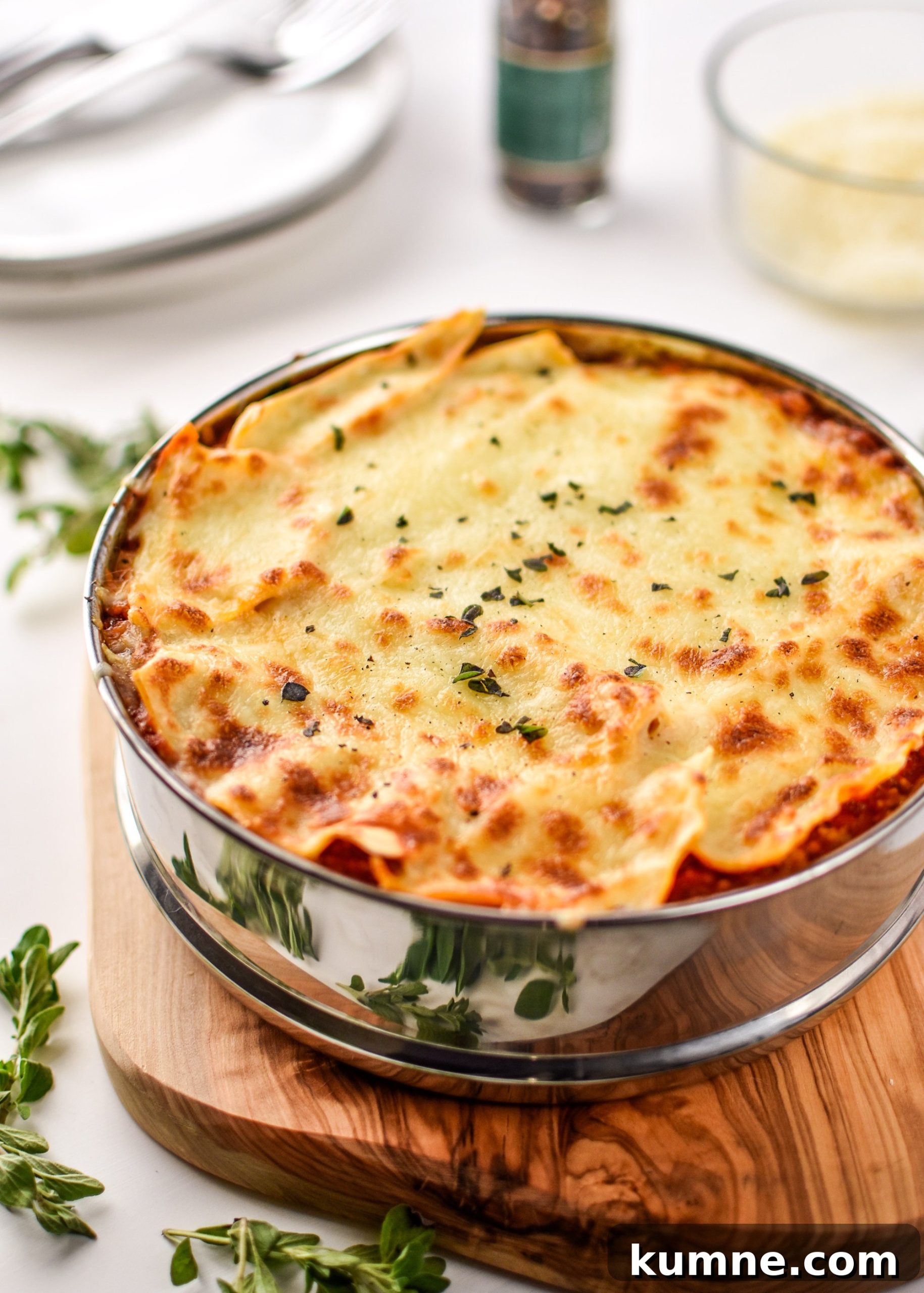 25 Favorite Instant Pot Recipes I Cooked First 15 lasagna made in the Instant pot - Here are The First 25 Recipes I Made With My Instant Pot