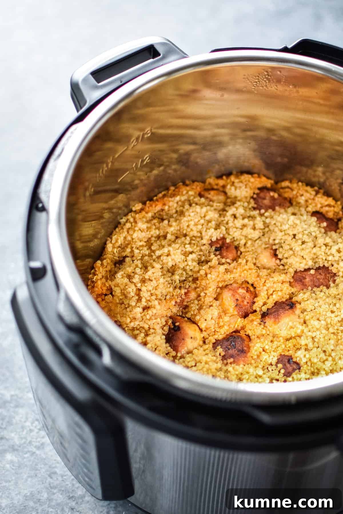 25 Favorite Instant Pot Recipes I Cooked First 5 Buffalo Chicken Meatballs with Quinoa are one of the First 25 Recipes I made With My Instant Pot