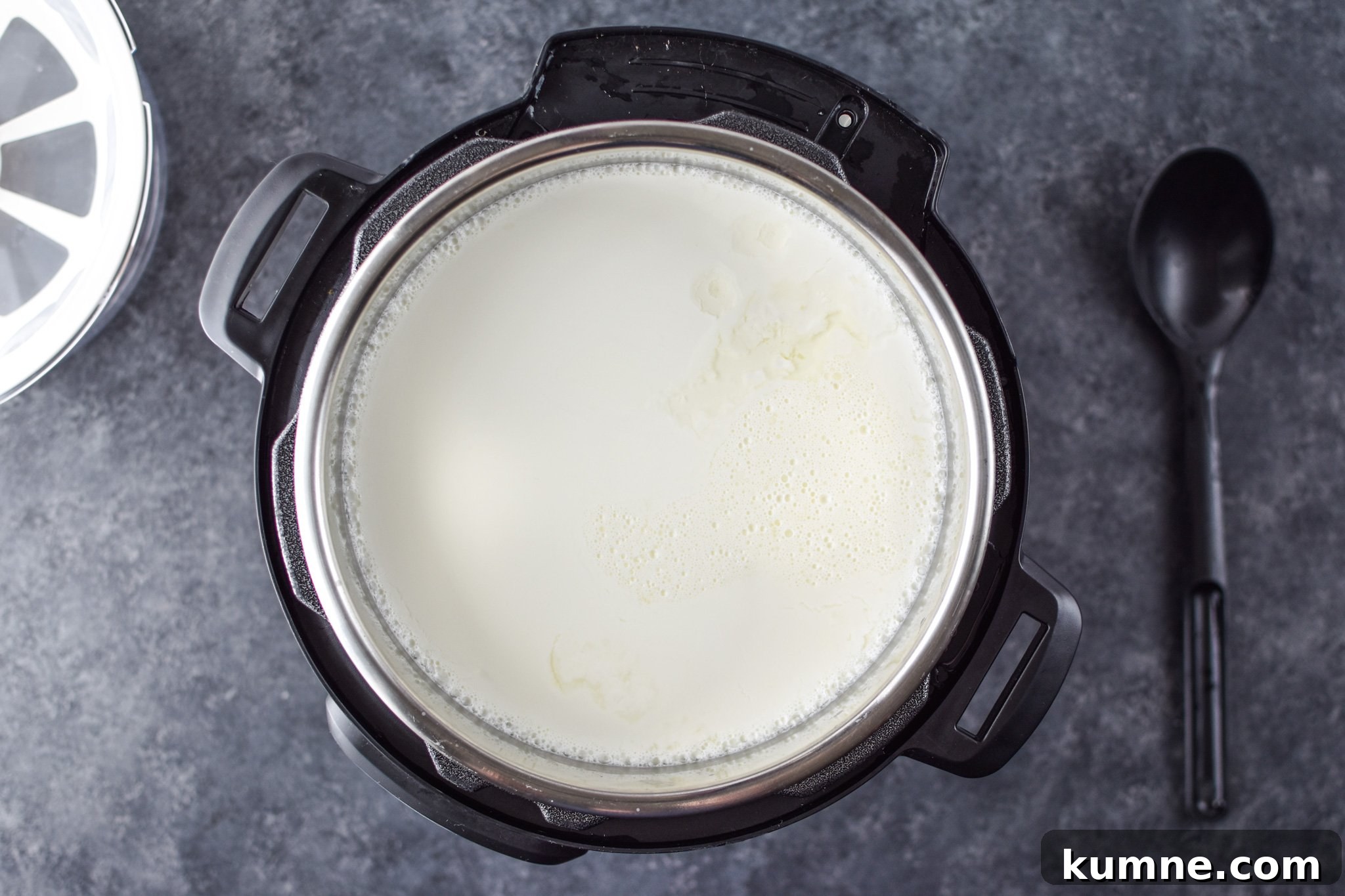 25 Favorite Instant Pot Recipes I Cooked First 8 Homemade Greek yogurt - The First 25 Recipes I Made With My Instant Pot