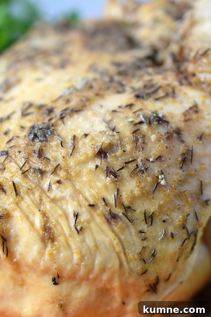 Easy Turkey Breast Recipe Easy Turkey Breast Recipe