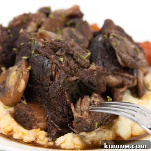 white plate of red wine braised beef short ribs over mashed potatoes with mushrooms, carrots, and sauce