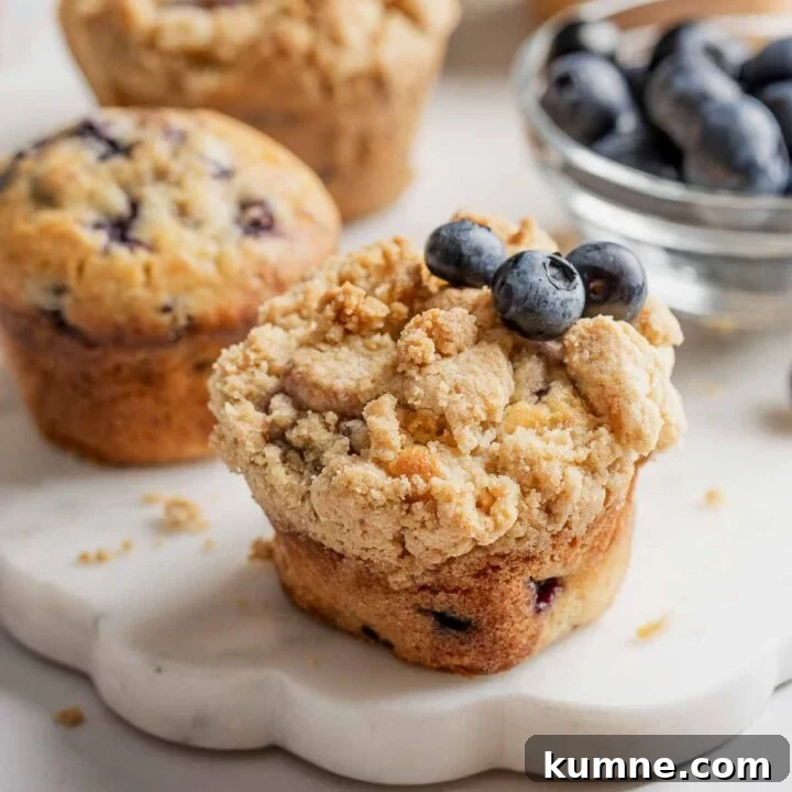 Gluten-free blueberry muffins with streusel and garnished with fresh blueberries, on marble platter.