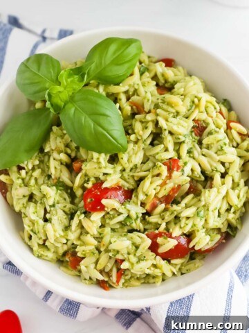 A bowl of orzo with pesto sauce, tomatoes, and fresh basil.