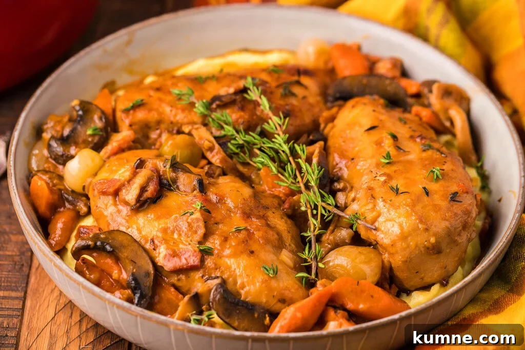 Chicken dish with roasted vegetables.