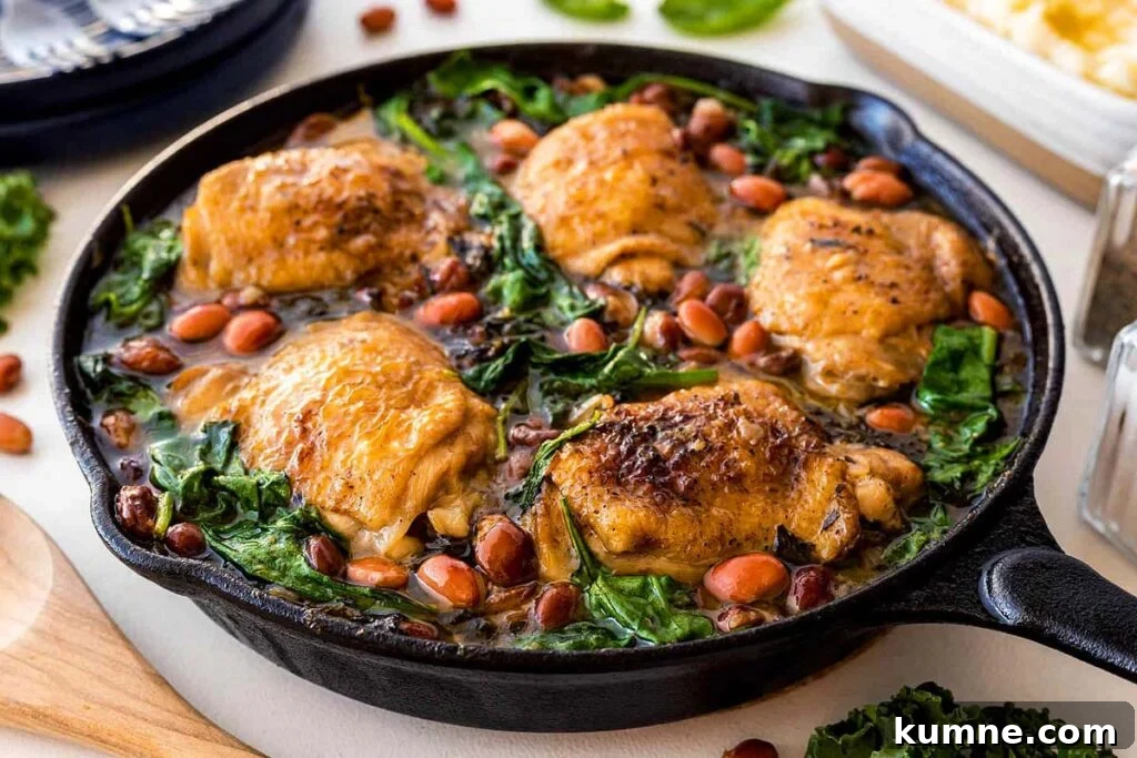 A cast iron skillet with a chicken and beans dish.