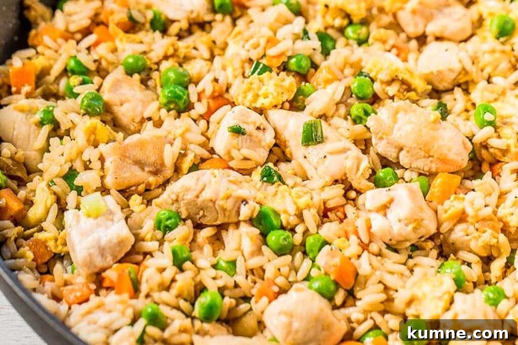 A fan full of chicken fried rice.