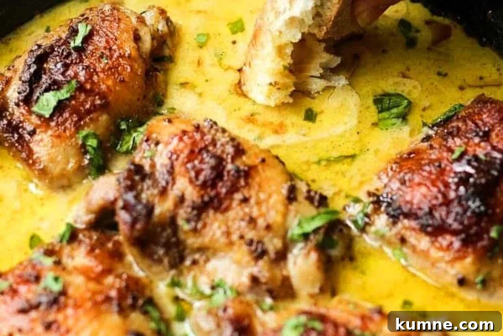 Mustard Chicken with yellow sauce.