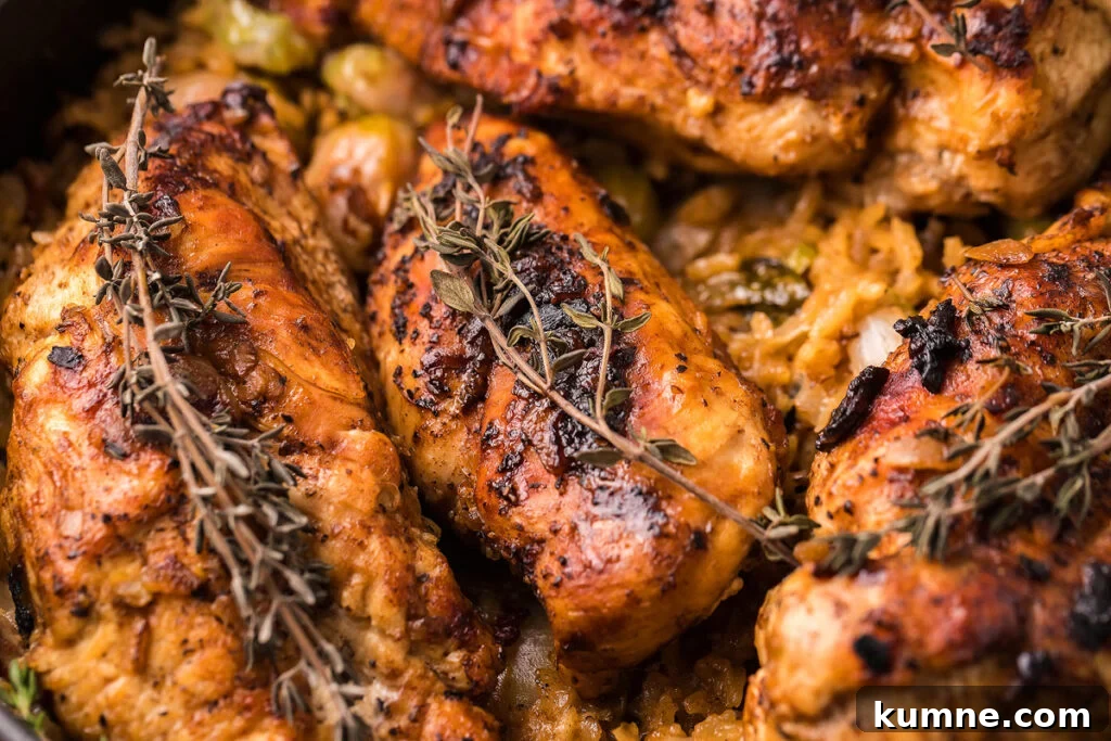 Close up view of a baked chicken and rice dish.