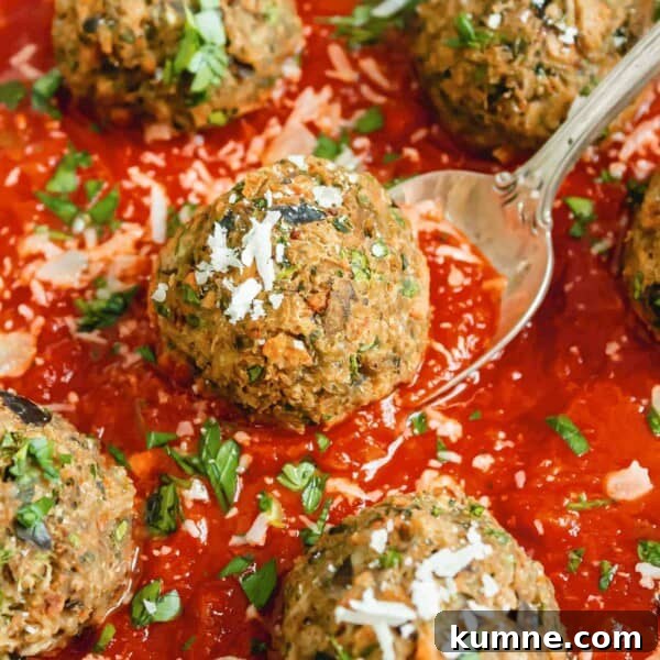 Crispy Air Fryer Italian-Style Meatballs Recipe 13 Eggplant vegetarian meatballs in a red sauce, one on a spoon.