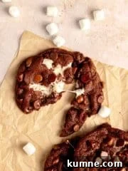 Chocolate cookie broken in half with marshmallow middle