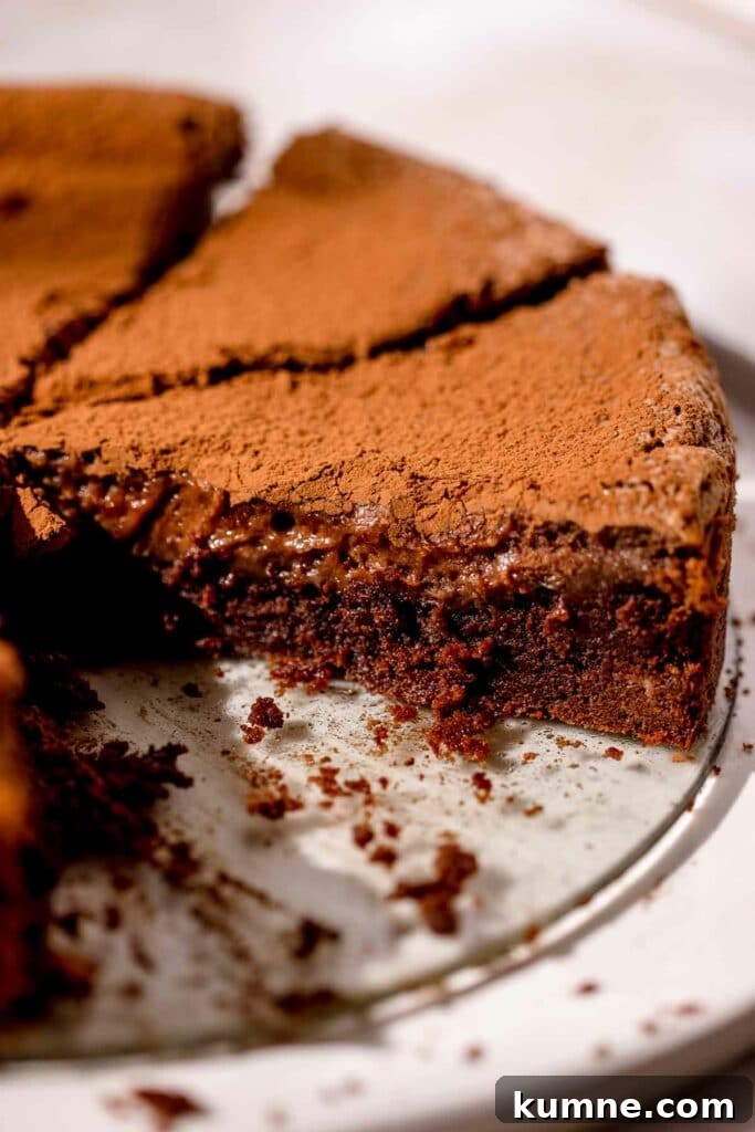 chocolate butter cake closeup of gooey filling