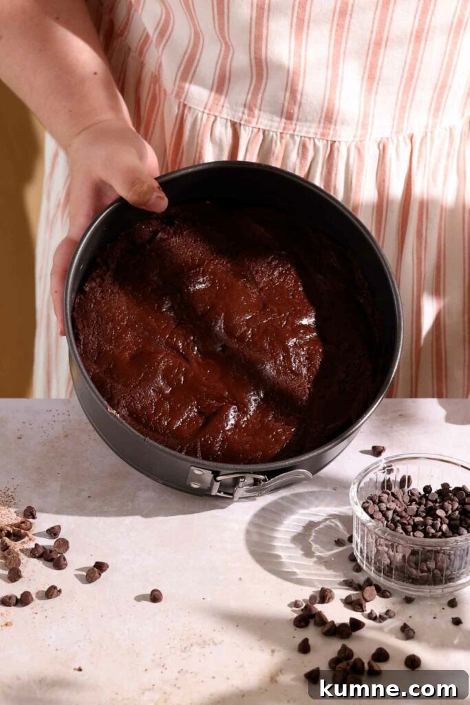 spread chocolate cake batter into cake tin