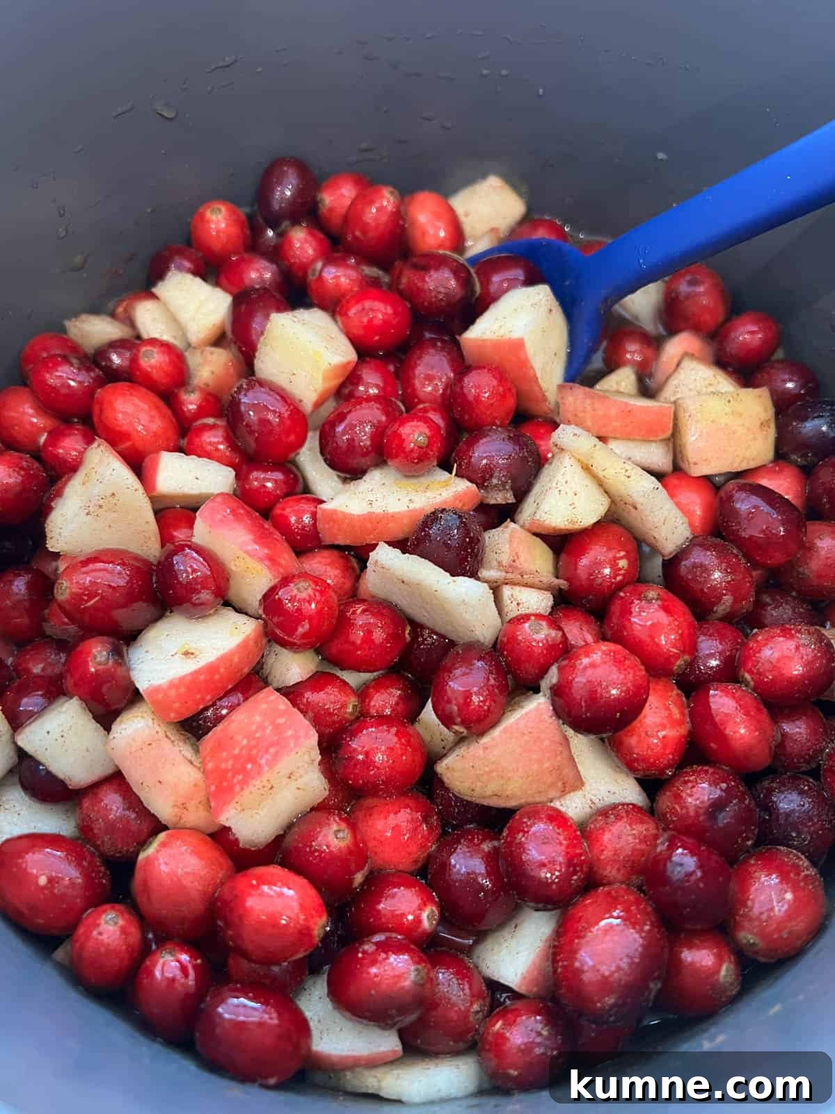 Homemade Cranberry Apple Sauce Recipe for Thanksgiving 5 Cranberries and apples heating up in a pan.