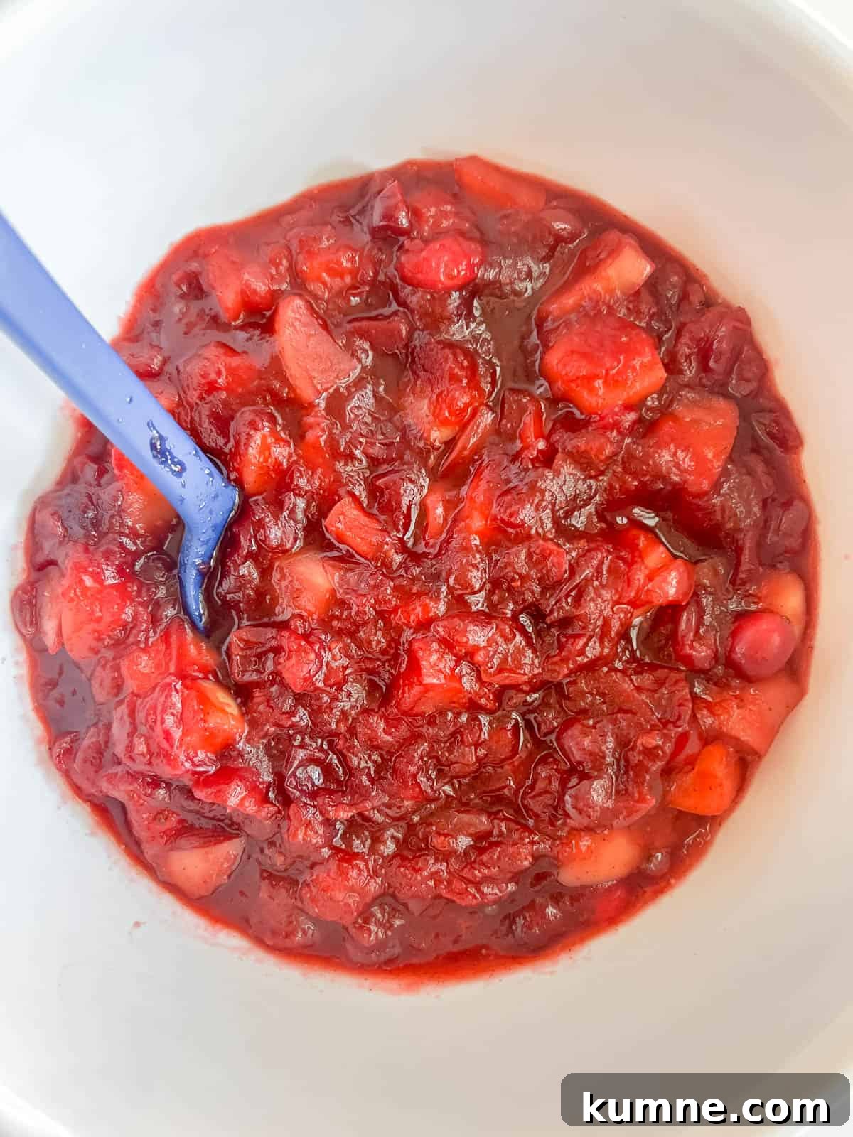 Homemade Cranberry Apple Sauce Recipe for Thanksgiving 7 Cranberry sauce with apples cooling in a bowl.