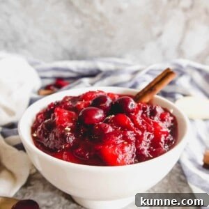 Homemade Cranberry Apple Sauce Recipe for Thanksgiving 9 Cranberry apple sauce in a bowl with a cinnamon stick in it.