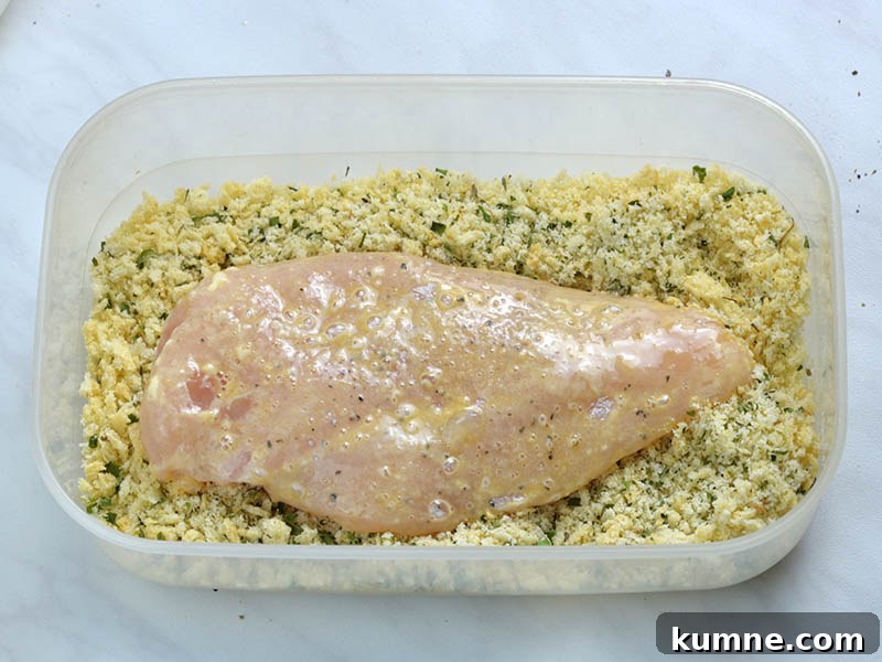 Finally, chicken dipped in bread crumbs to coat well and transfer to a baking sheet.