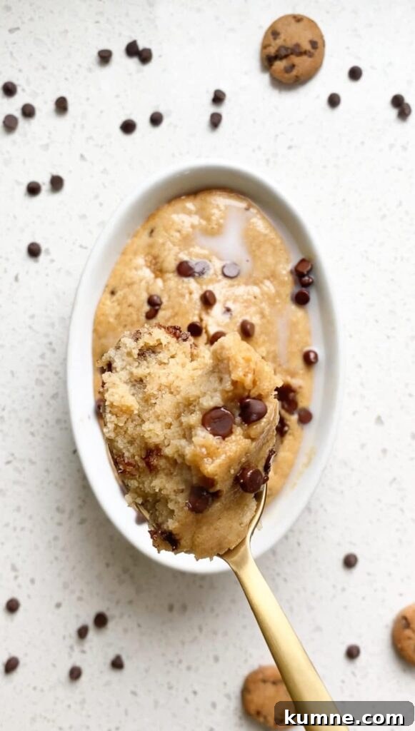 High-Protein Cookie Dough Baked Oats — Single-Serve (38g) 4 spoonful of high protein cookie dough baked oats with melty chocolate chips