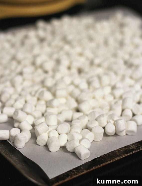 Mini Marshmallows on Parchment Mini Marshmallows on Parchment Paper