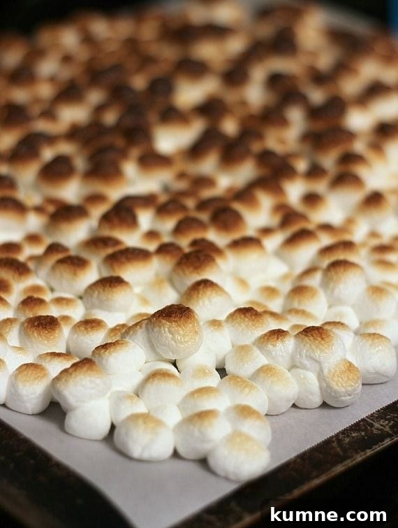 Toasted Marshmallows Toasted Marshmallows on Parchment Paper