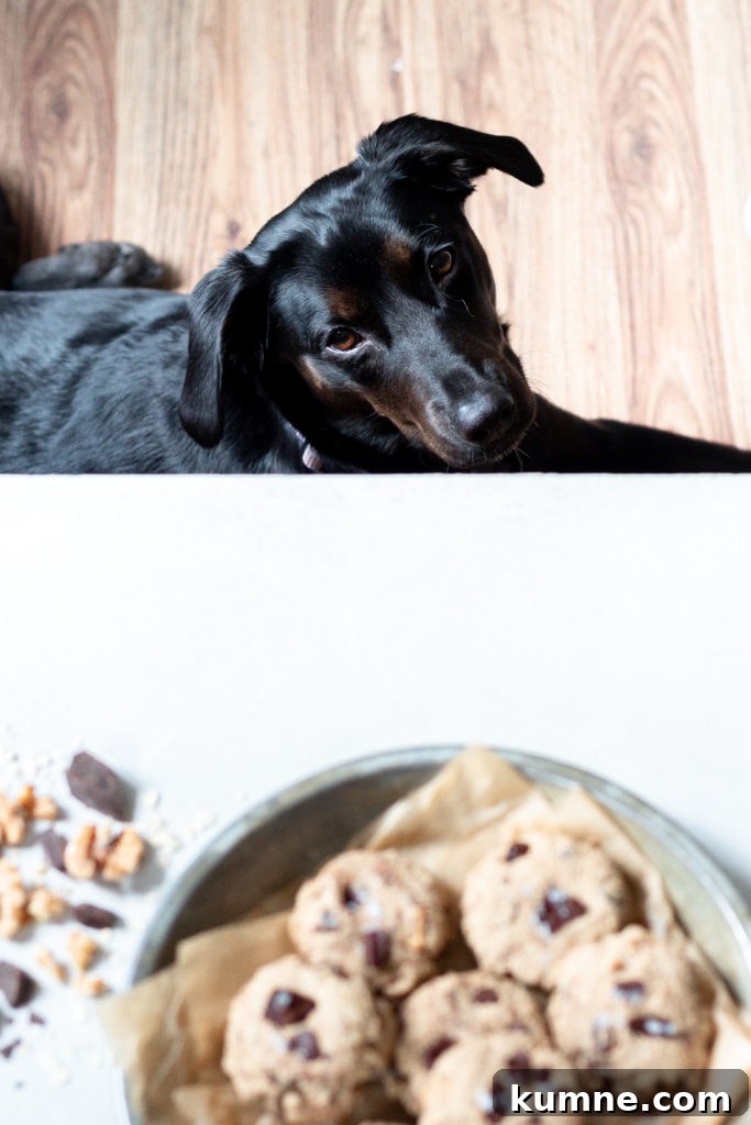 Thick Chewy Oatmeal Breakfast Cookies Recipe 3 Thick + Chewy Oatmeal Breakfast Cookies