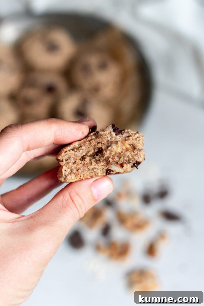 Thick Chewy Oatmeal Breakfast Cookies Recipe 6 Thick + Chewy Oatmeal Breakfast Cookies